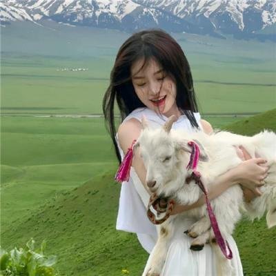 秋叶原系女友